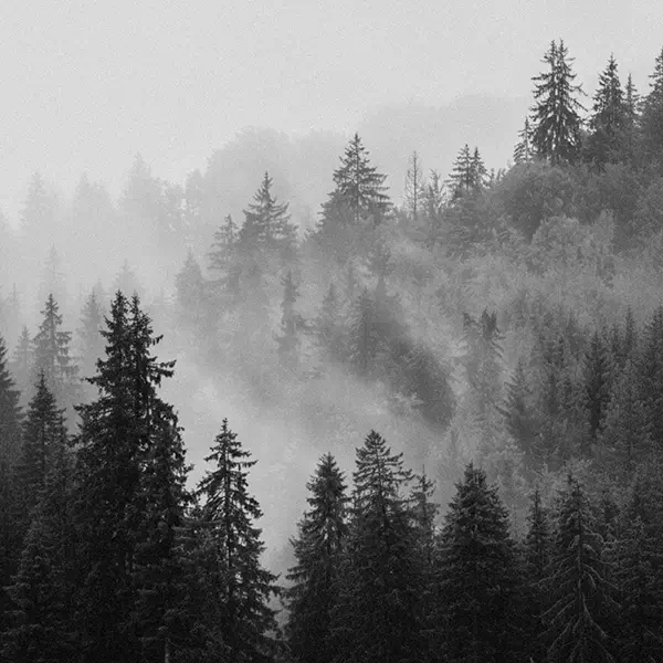 foto-insights-estrategicos Insights Estratégicos